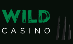 Wild Casino Game