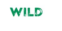 Wild Casino