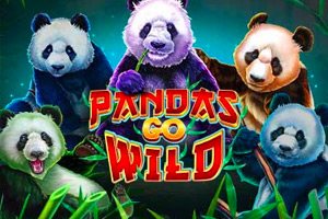 Pandas Go Wild at Cafe Casino