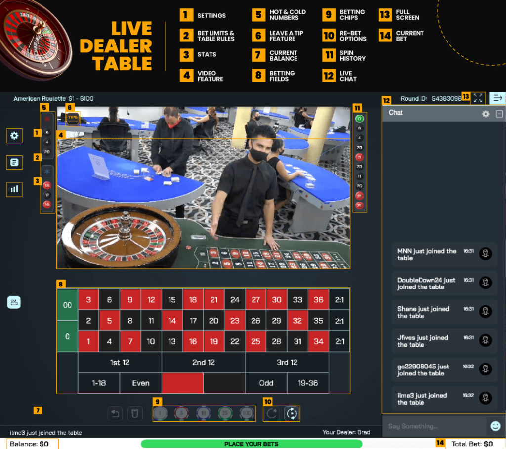 live dealer roulette online features