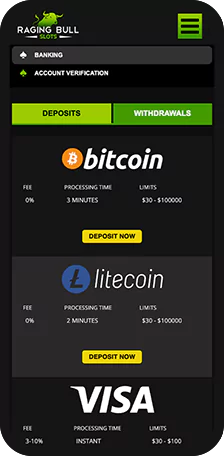 Raging Bull Slots Banking Mobile