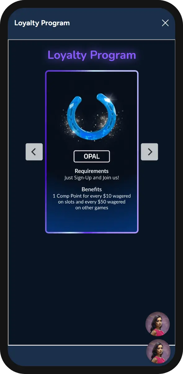 Loyalty Program Mobile Interface