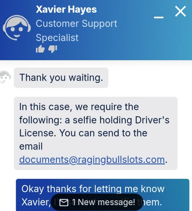 Raging Bull chat Interaction