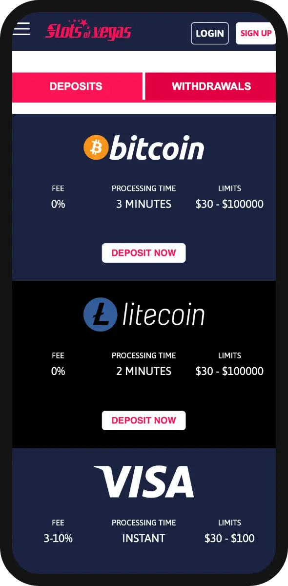 screenshot of the banking methods available at slots of vegas casino 