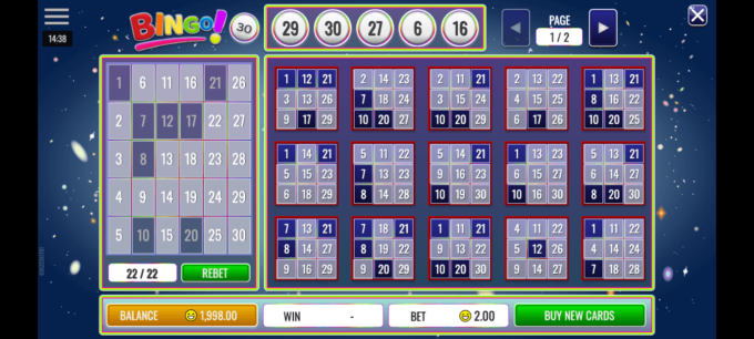 Live 30 ball bingo game